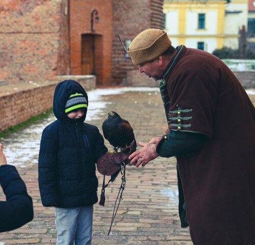 Gyulai Vár: Solymászbemutató