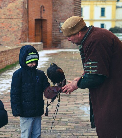 Gyulai Vár: Solymászbemutató