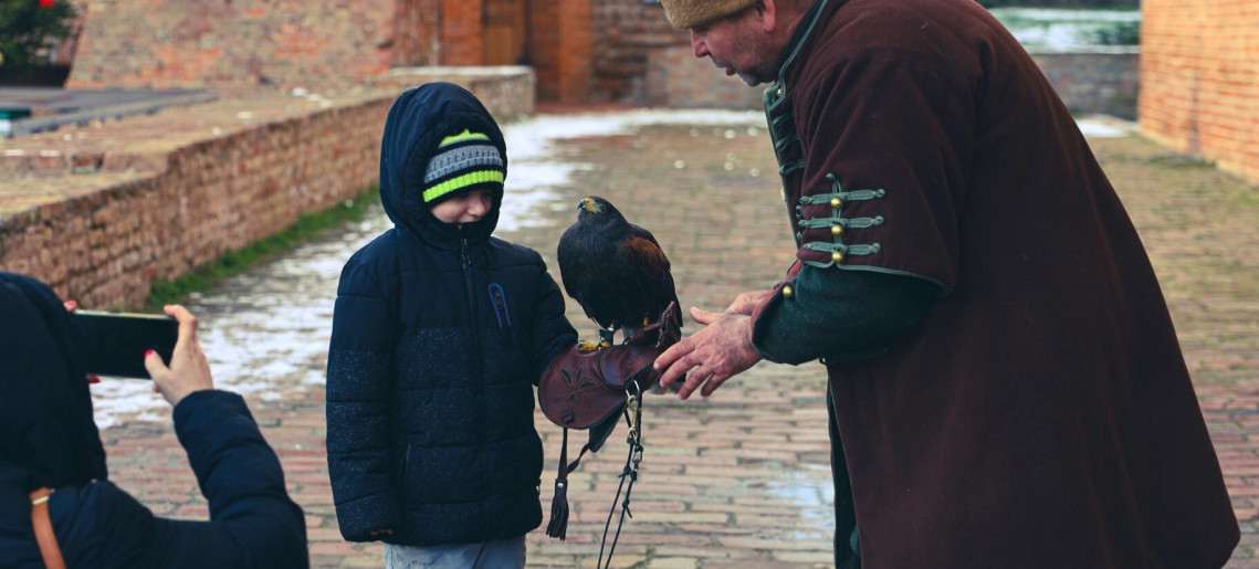 Gyulai Vár: Solymászbemutató