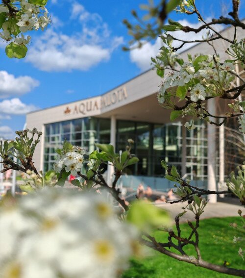 Gyulai Várfürdőben zajló felújítási munkálatok