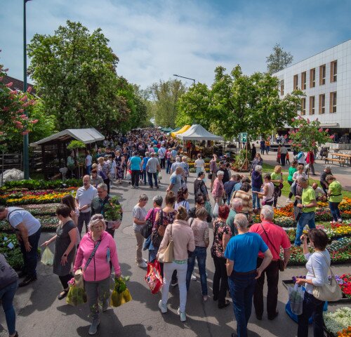 Gyulai Virágok Fesztiválja 2026