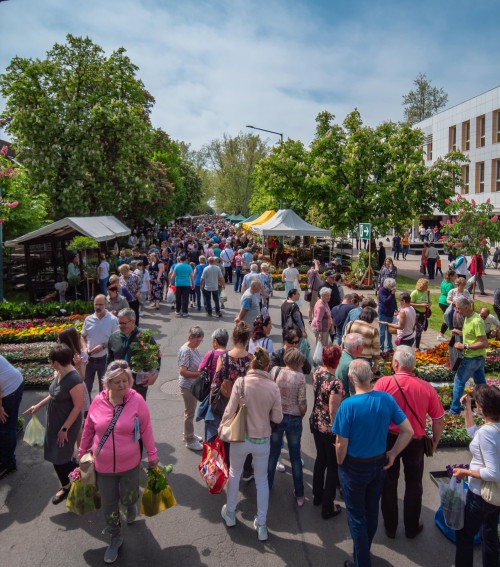 Gyulai Virágok Fesztiválja 2026