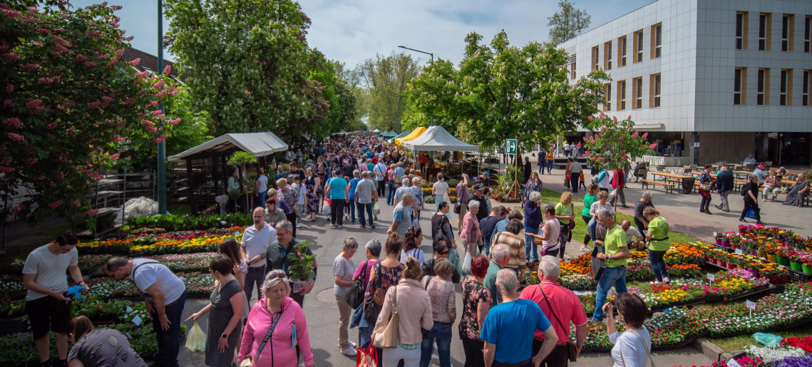 Gyulai Virágok Fesztiválja 2026