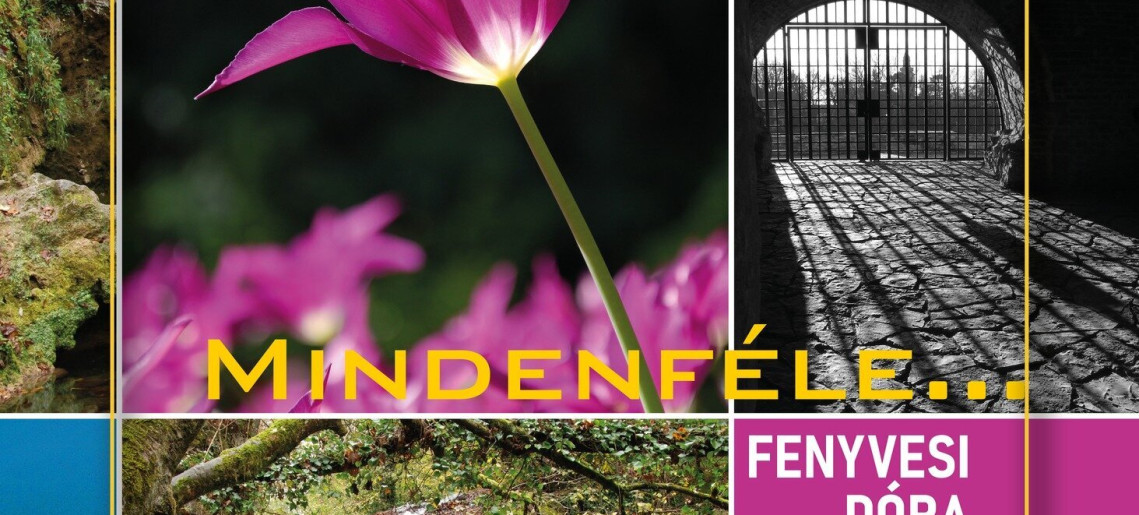 Gyulakult: Fenyvesi Dóra fotográfus kiállítása: Mindenféle…