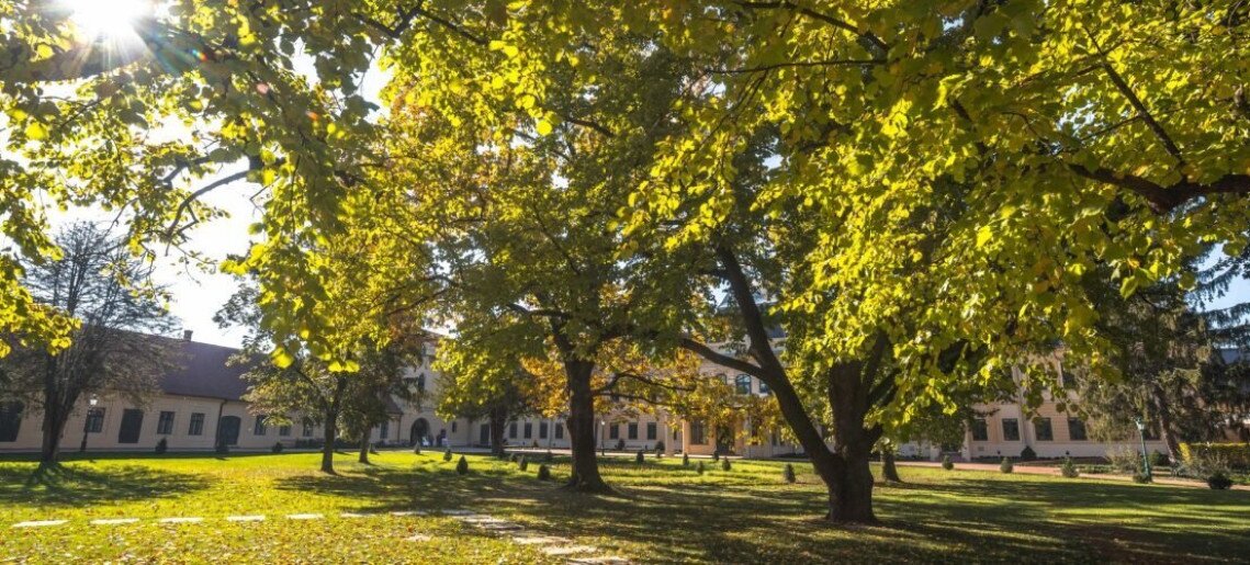 Herbis ad salutem – Múzeumok Őszi Fesztiválja