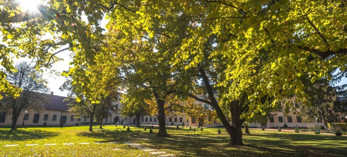 Herbis ad salutem – Múzeumok Őszi Fesztiválja