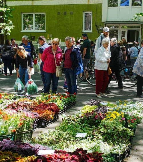 Hétvégén rendezik meg a Gyulai Virágok Fesztiválját
