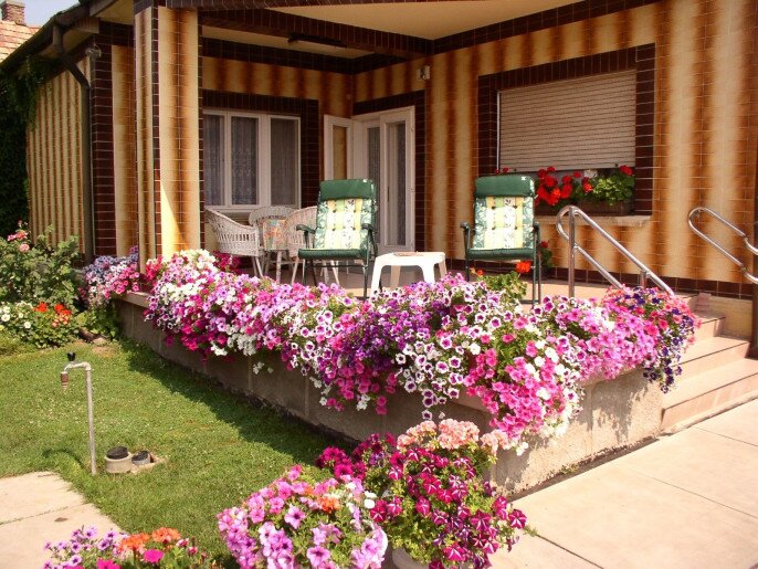 Amália Apartman Gyula - 17