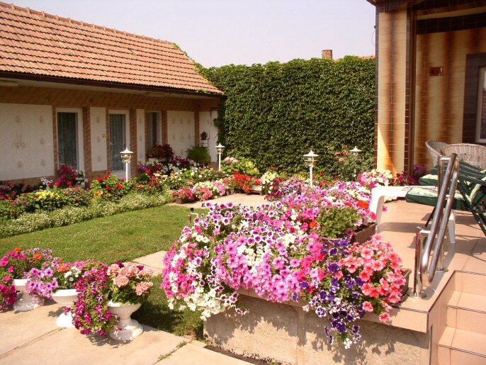 Amália Apartman Gyula - 19