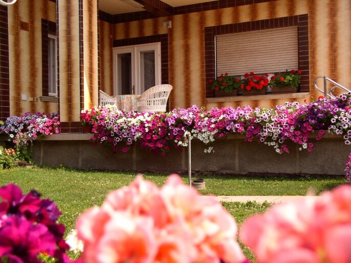 Amália Apartman Gyula - 21