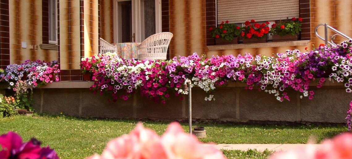 Amália Apartman Gyula - 21