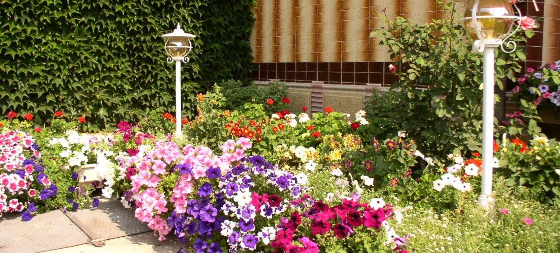 Amália Apartman Gyula - 24