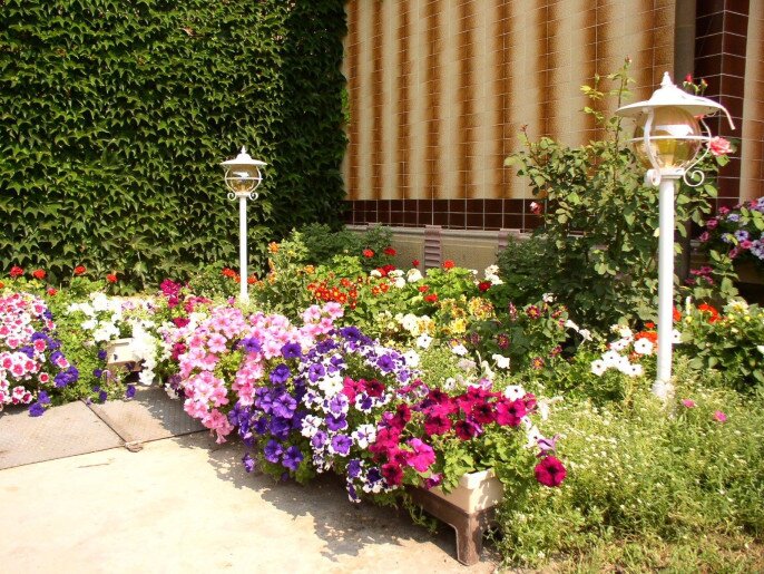 Amália Apartman Gyula - 24