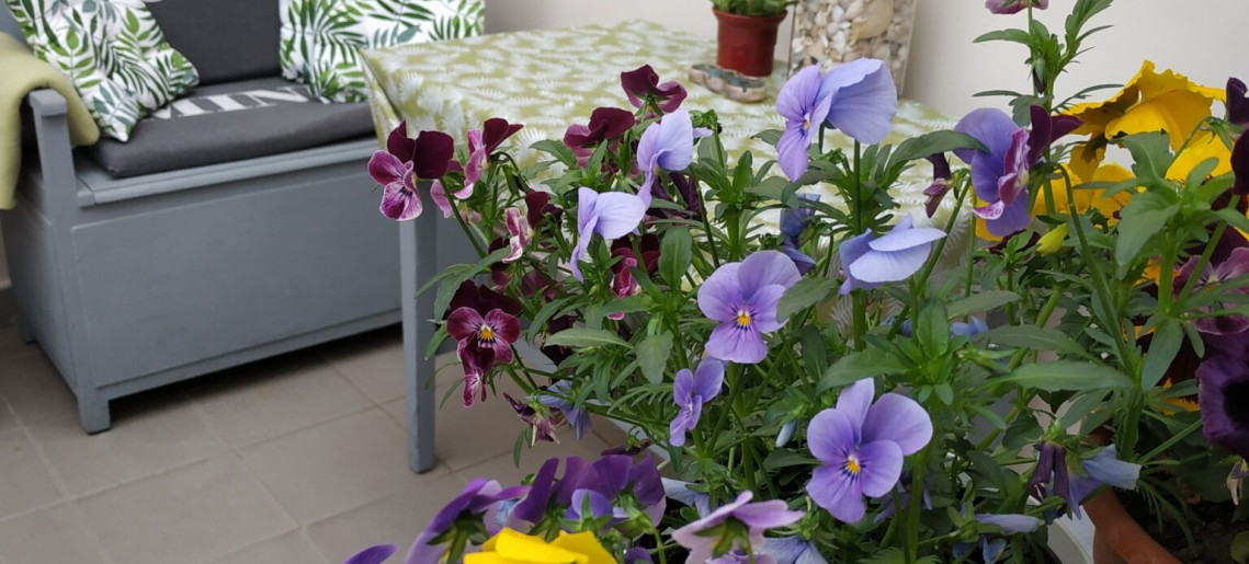 Belvárosi Levendula Apartman Gyula - 32