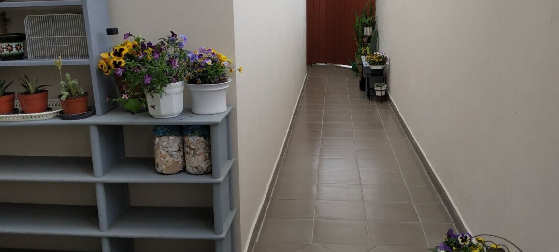 Belvárosi Levendula Apartman Gyula - 34