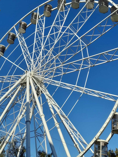 Bambusz Apartman Gyula - 15