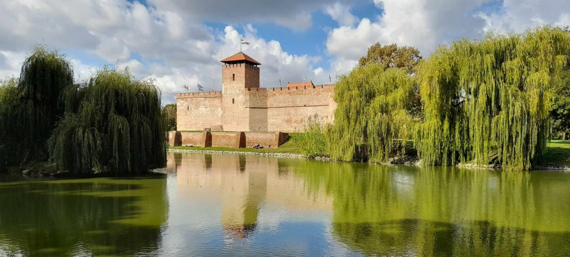 Bambusz Apartman Gyula - 13