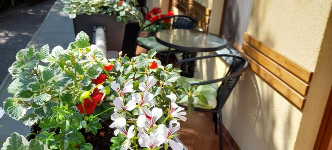 Bambusz Apartman Gyula - 10