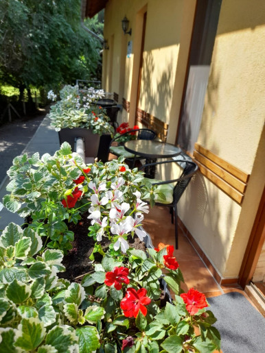 Bambusz Apartman Gyula - 11