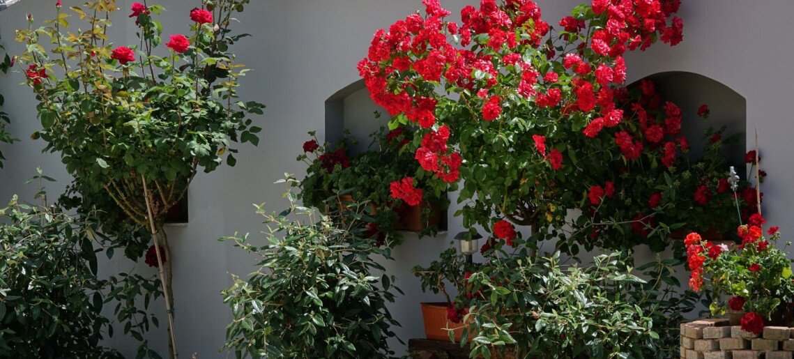 Oazis Apartman Gyula - 16