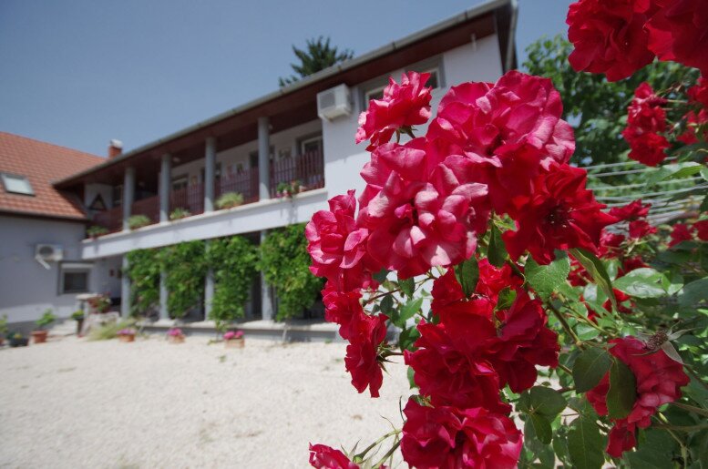 Oazis Apartman Gyula - 13
