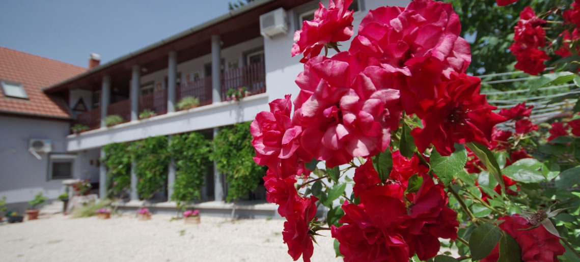 Oazis Apartman Gyula - 13