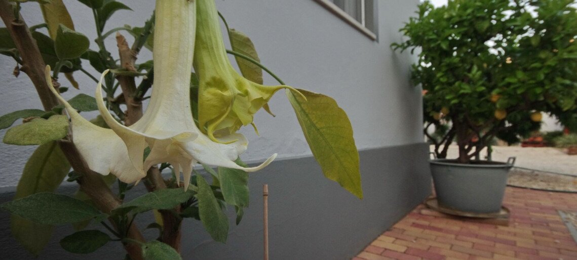 Oazis Apartman Gyula - 24