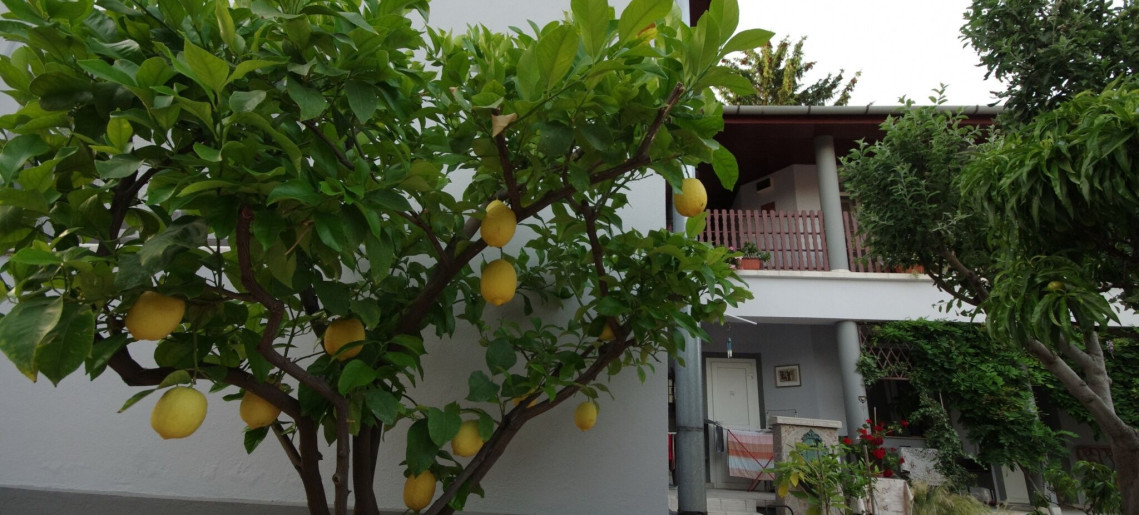 Oazis Apartman Gyula - 25