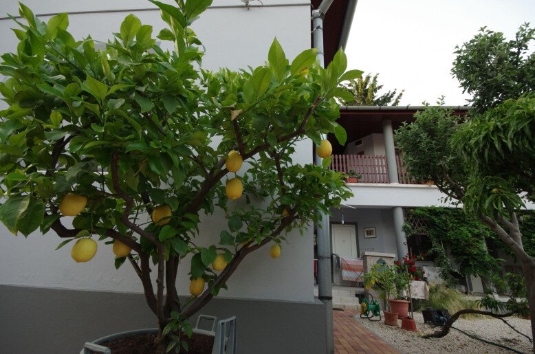 Oazis Apartman Gyula - 25