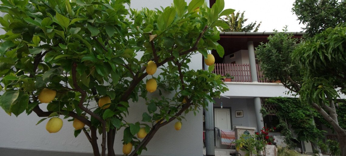 Oazis Apartman Gyula - 25