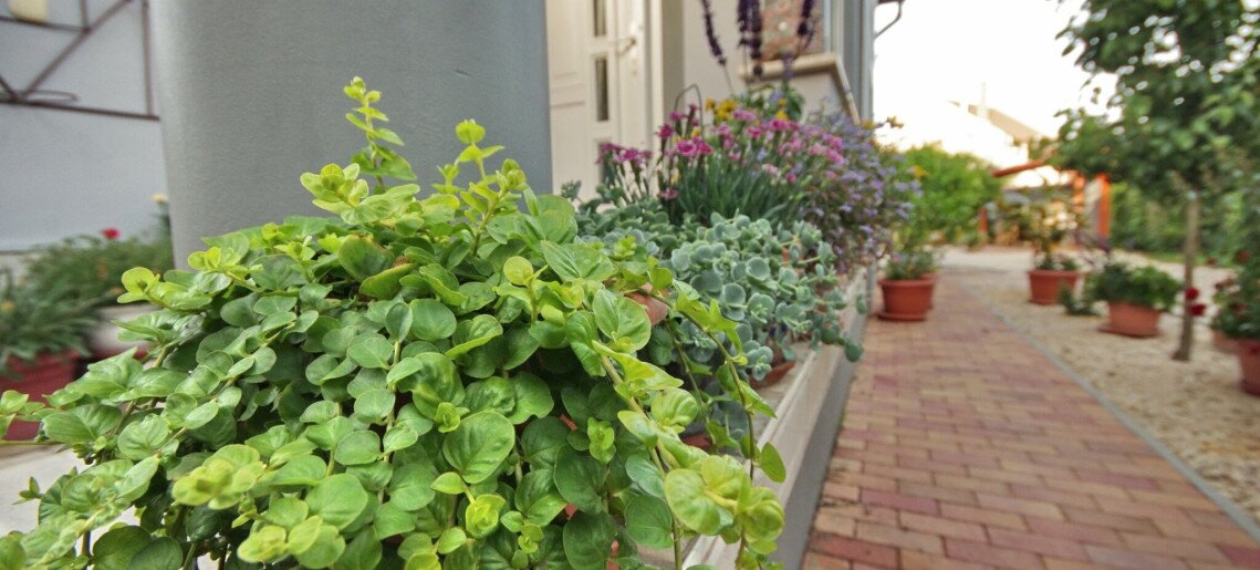 Oazis Apartman Gyula - 27