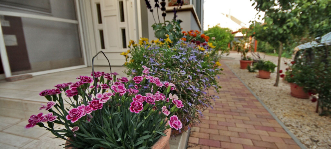 Oazis Apartman Gyula - 28