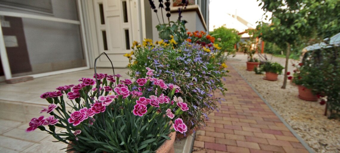 Oazis Apartman Gyula - 28