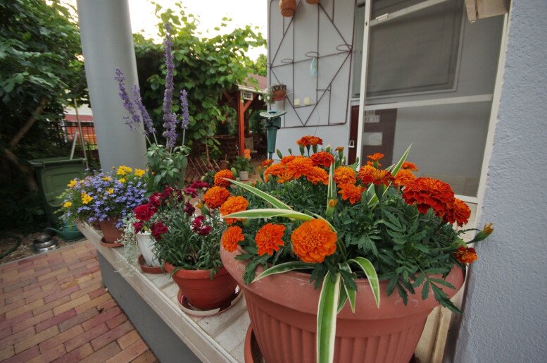 Oazis Apartman Gyula - 26