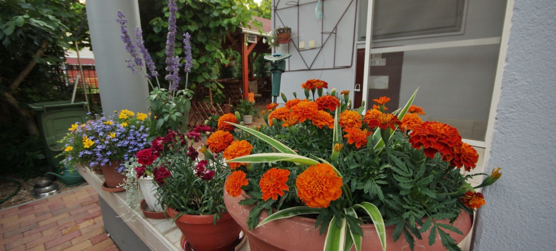 Oazis Apartman Gyula - 26