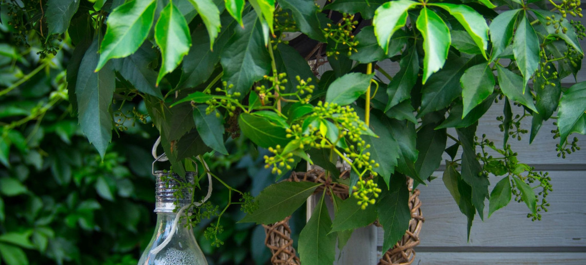 Feliz Apartman Gyula - 28