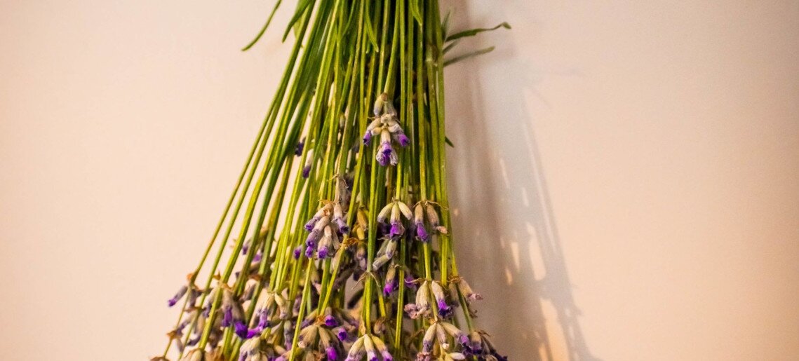 Feliz Apartman Gyula - 33