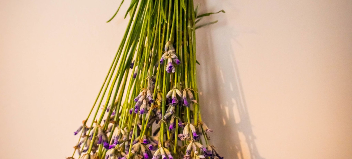 Feliz Apartman Gyula - 33