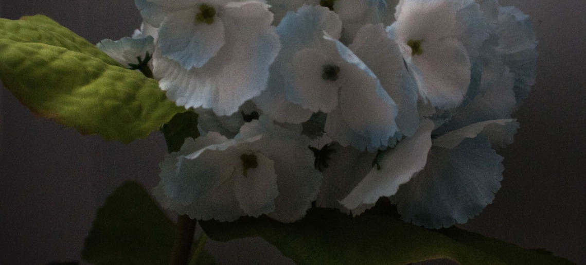 Feliz Apartman Gyula - 34