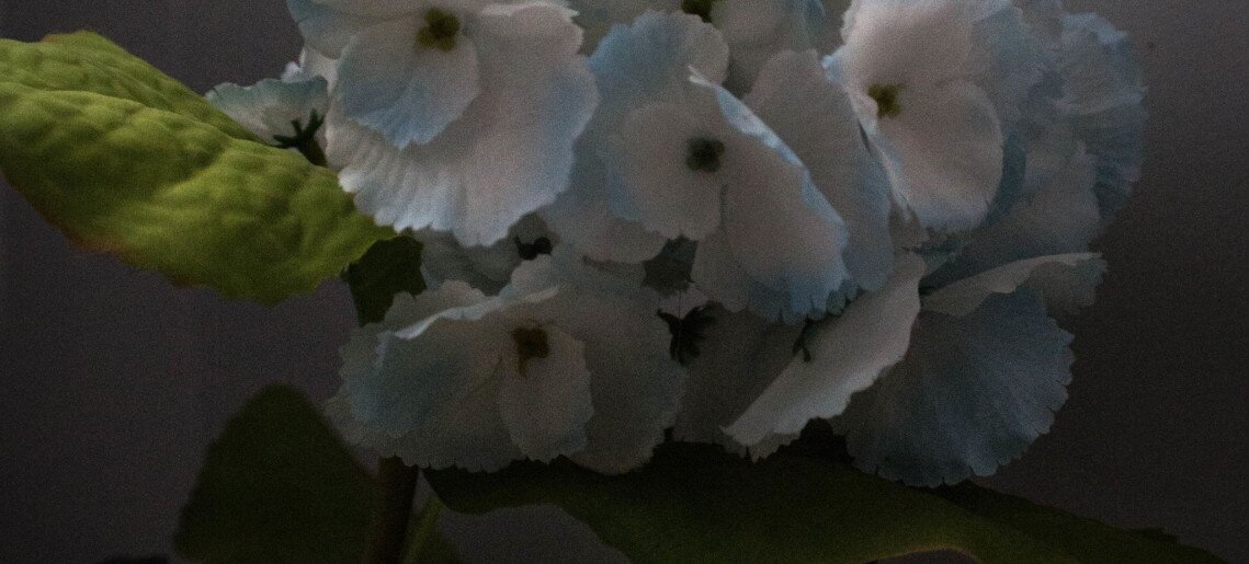 Feliz Apartman Gyula - 34