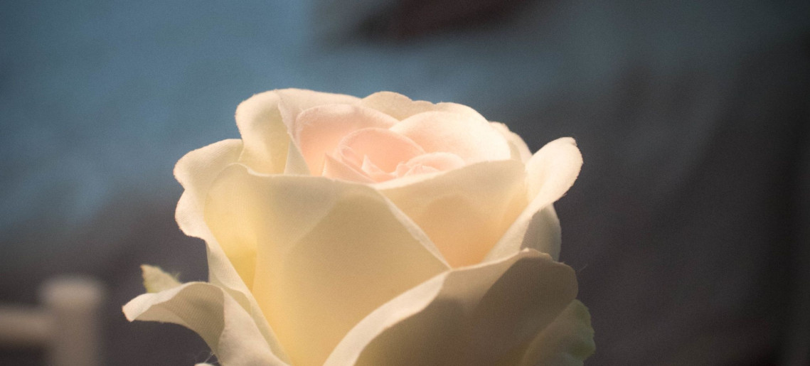 Feliz Apartman Gyula - 32