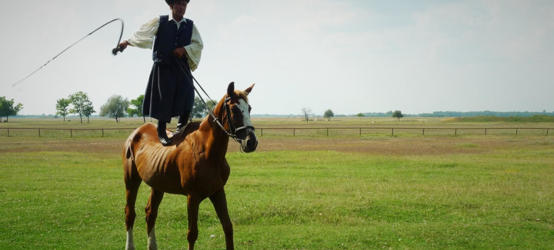 Feliz Apartman Gyula - 45