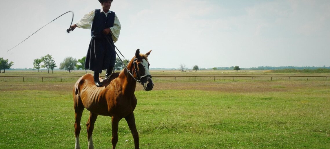 Feliz Apartman Gyula - 45