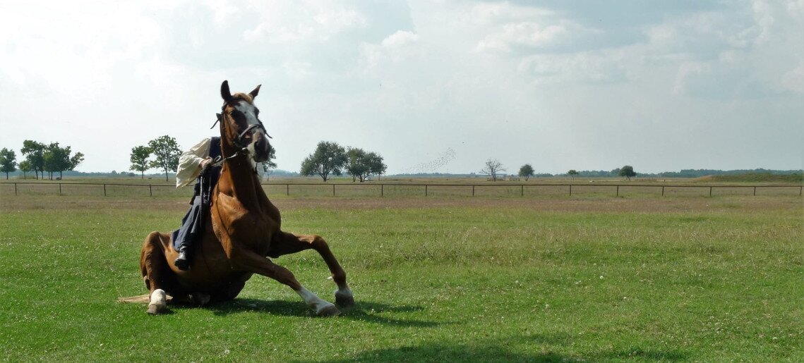 Feliz Apartman Gyula - 52