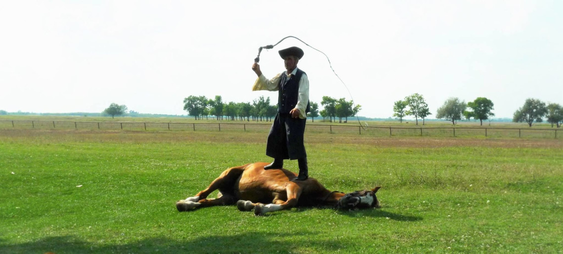 Feliz Apartman Gyula - 49