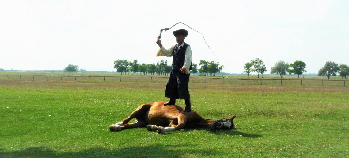 Feliz Apartman Gyula - 49