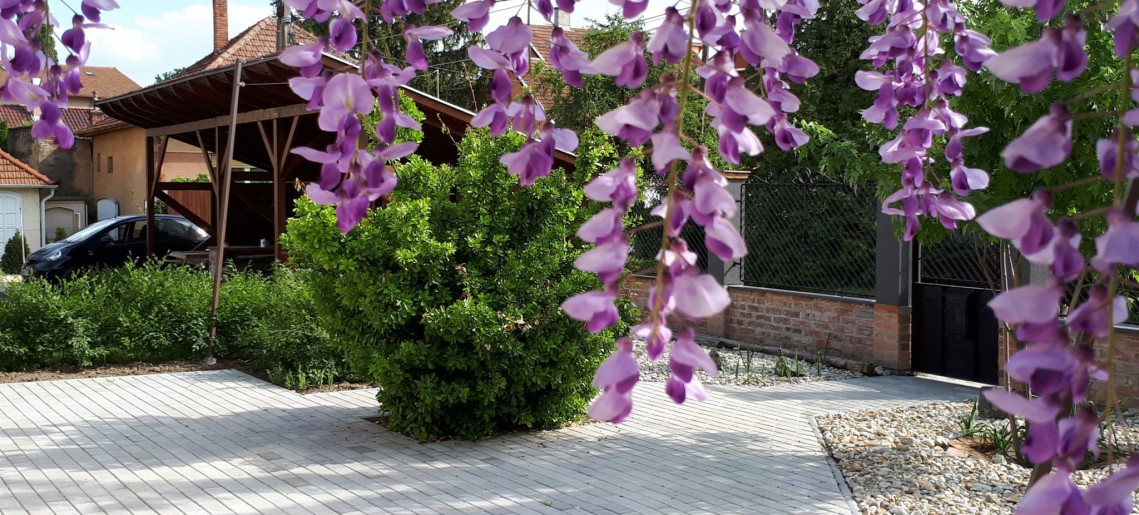 Erzsébet Apartman Gyula - 1