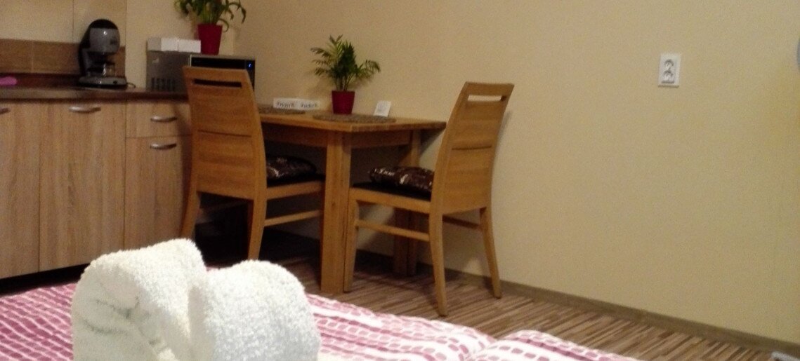 Kerékvár Apartman Gyula - 8