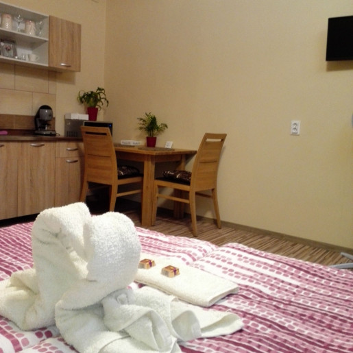 Kerékvár Apartman Gyula - 8