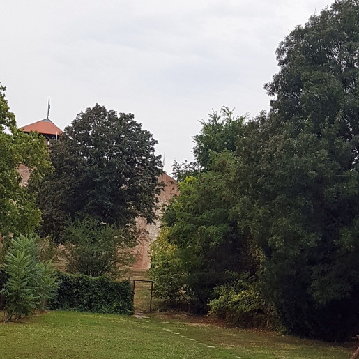 Gréta Apartman Gyula - 6